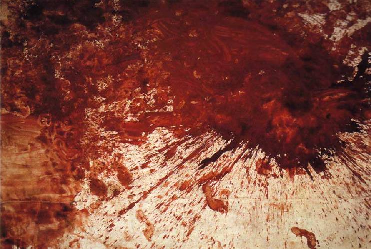 Obra sin título de Hermann Nitsch - 03