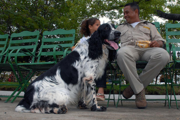 Técnica Canina 01