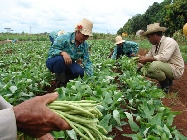 Día del Campesino 01