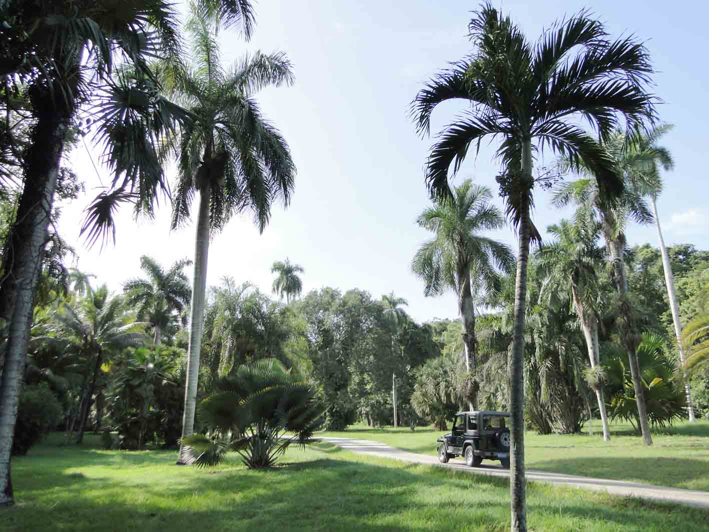 Hermoso  el Jardín Botánico de Granma