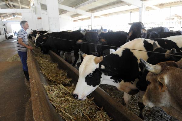 Cooperativa de Producción Agropecuaria (CPA) Héroes de Yaguajay