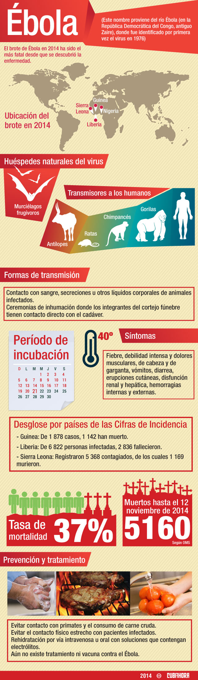 Infografía actualizada -ébola