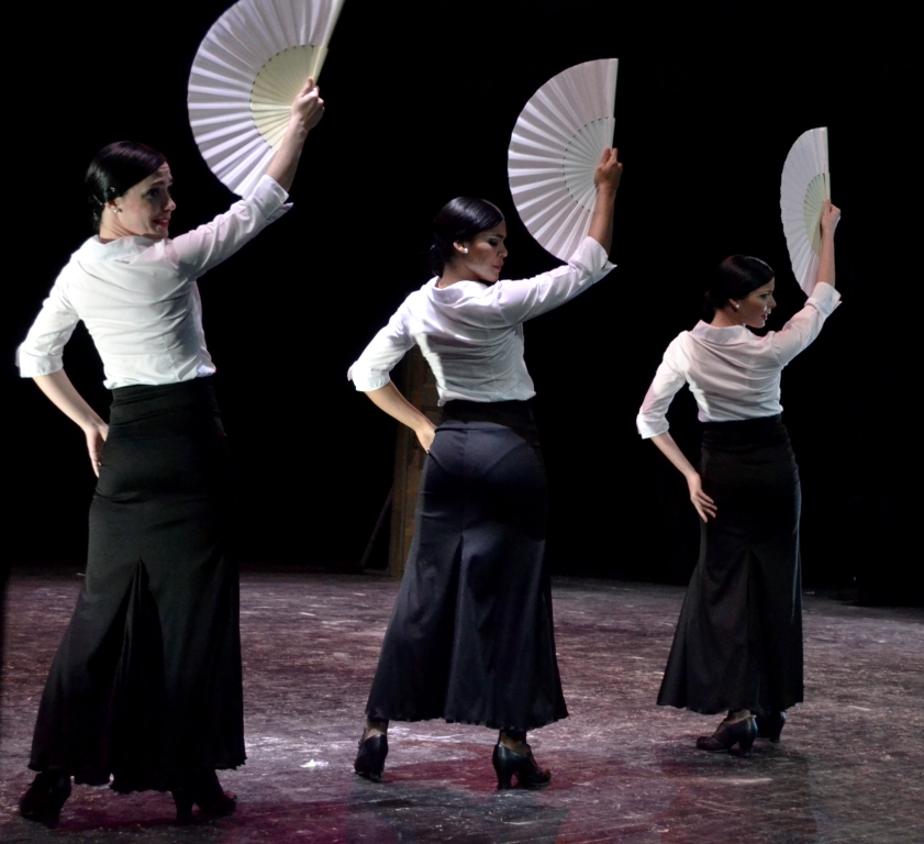 Compañía Irene Rodríguez 06