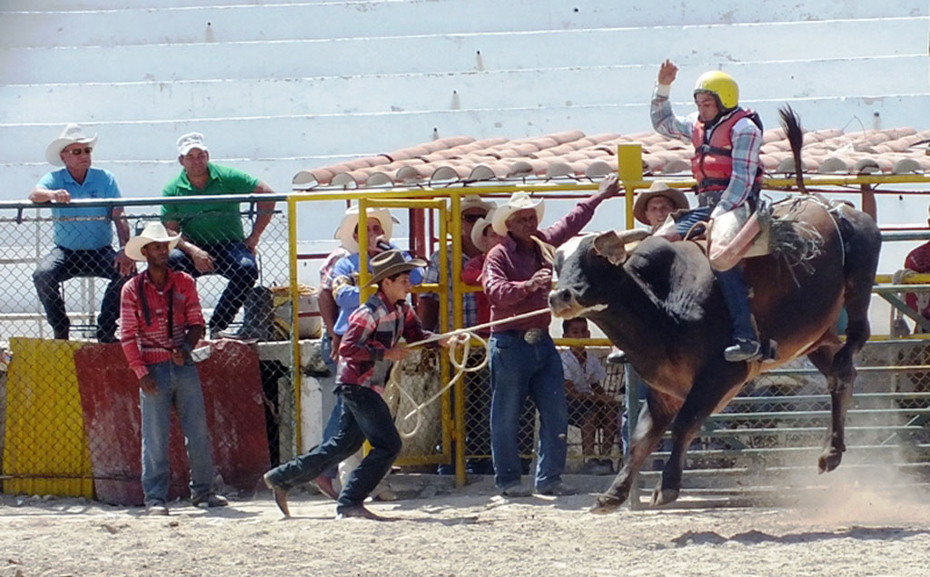 Competencias de rodeo 13