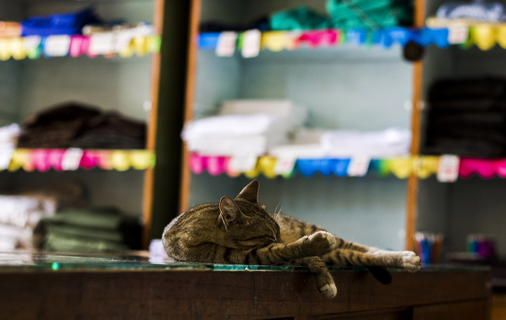 Visita a Sancti Spíritus 19