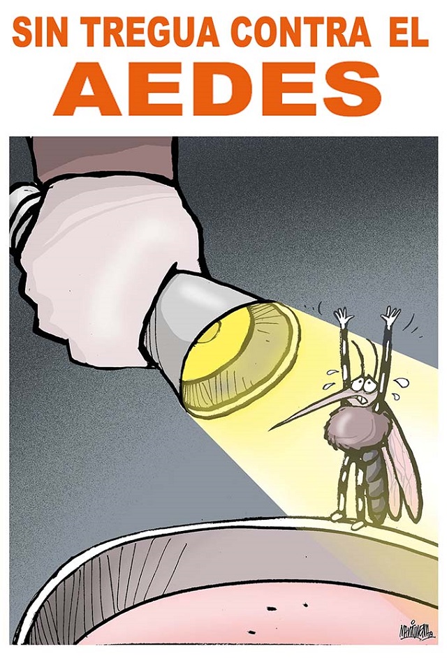 Sin tregua contra el aedes