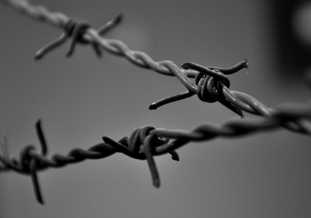 Blanco y Negro.