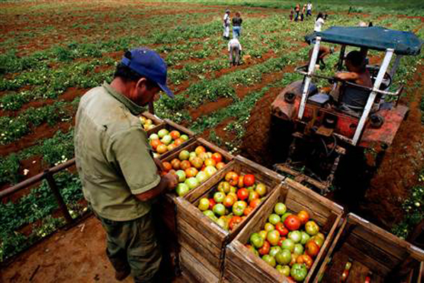 Cooperativas agropecuarias