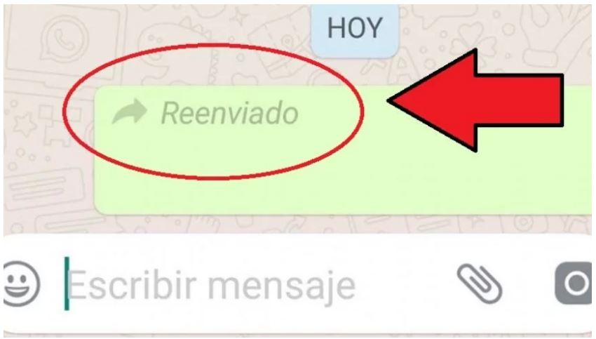 Mensaje reenviado de Whatsapp 2