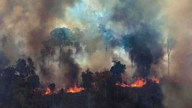 Incendios Amazonía