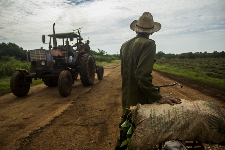 Cuba_Campo