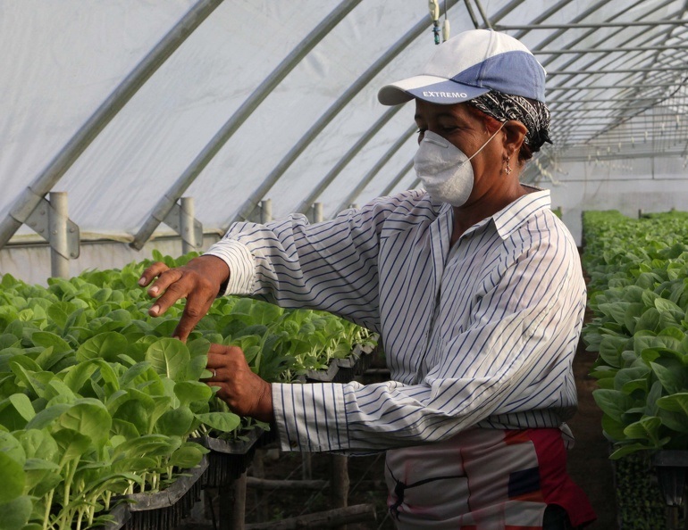 Mujer rural-producciones-agropecuarias