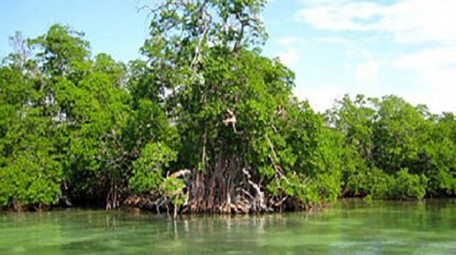 Estrategia ambiental-Cienfuegos