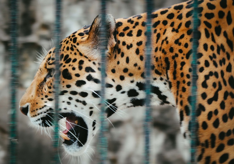 Parque zoologico nacional de cuba