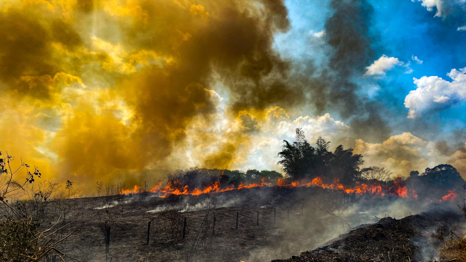 Crisis climática 