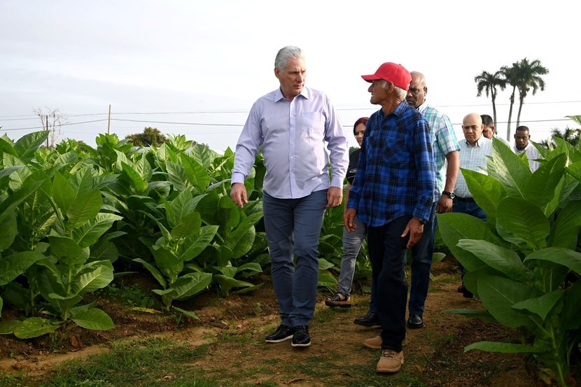 Diaz Canel en Pinar del Río