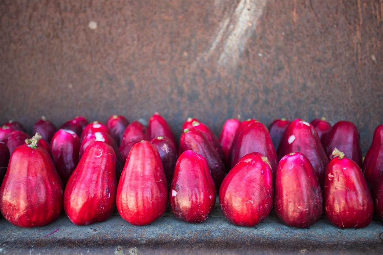 Pera o manzana de agua