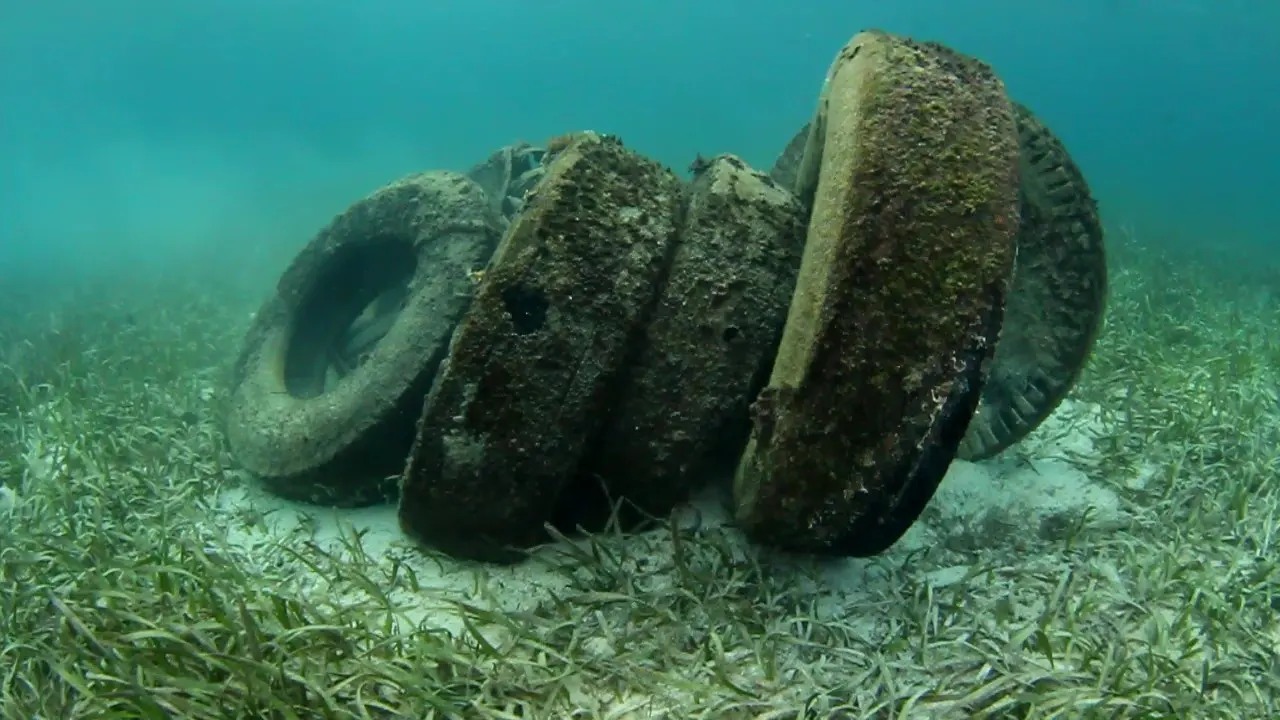 desechos en el mar