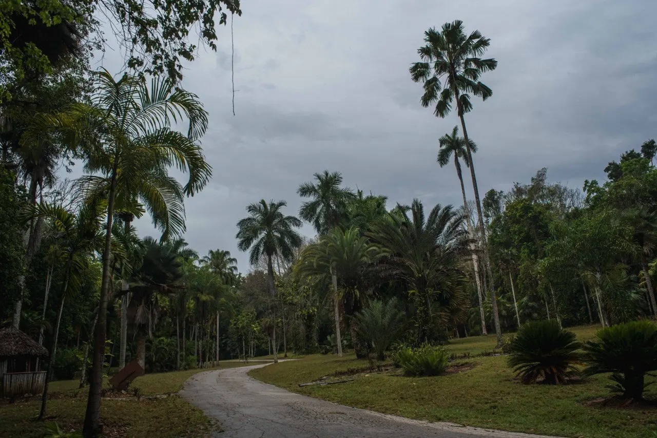 JARDÍN BOTÁNICO CUPAYNICÚ 