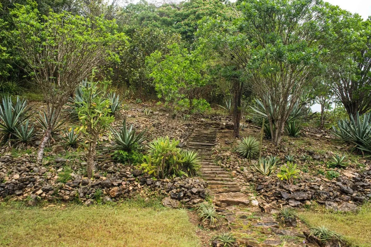 JARDÍN BOTÁNICO CUPAYNICÚ 