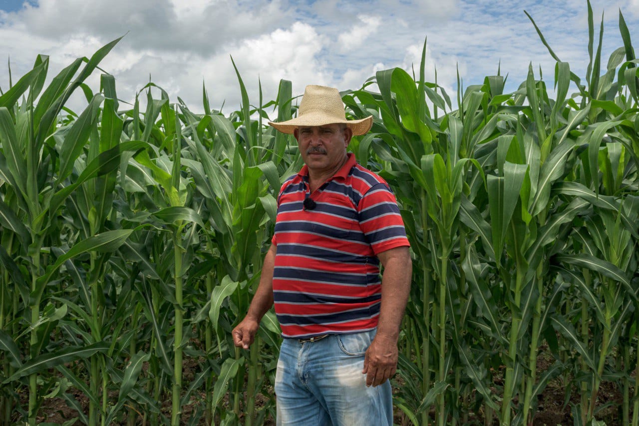  Campesinos cubanos