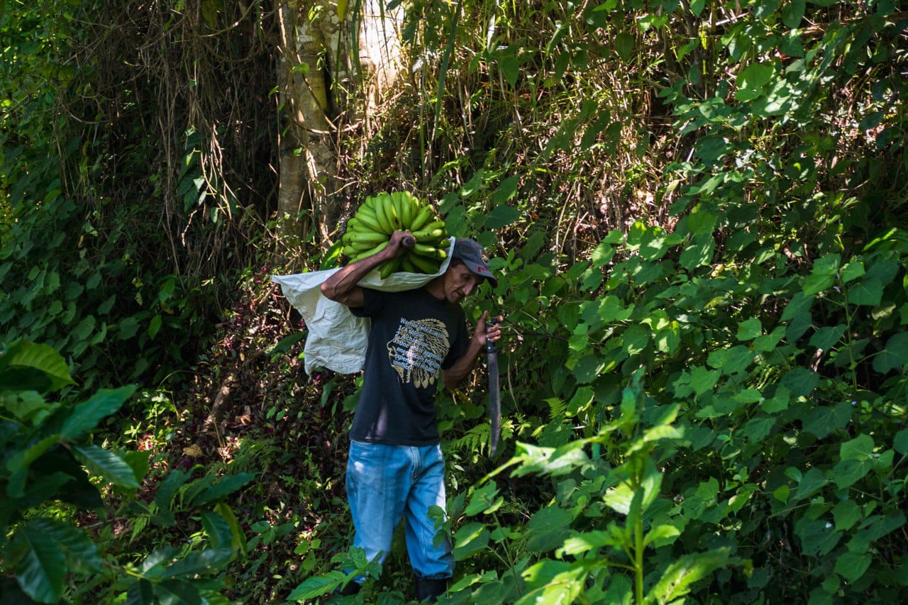  Campesinos cubanos 