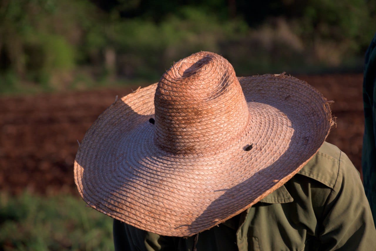  Campesinos cubanos