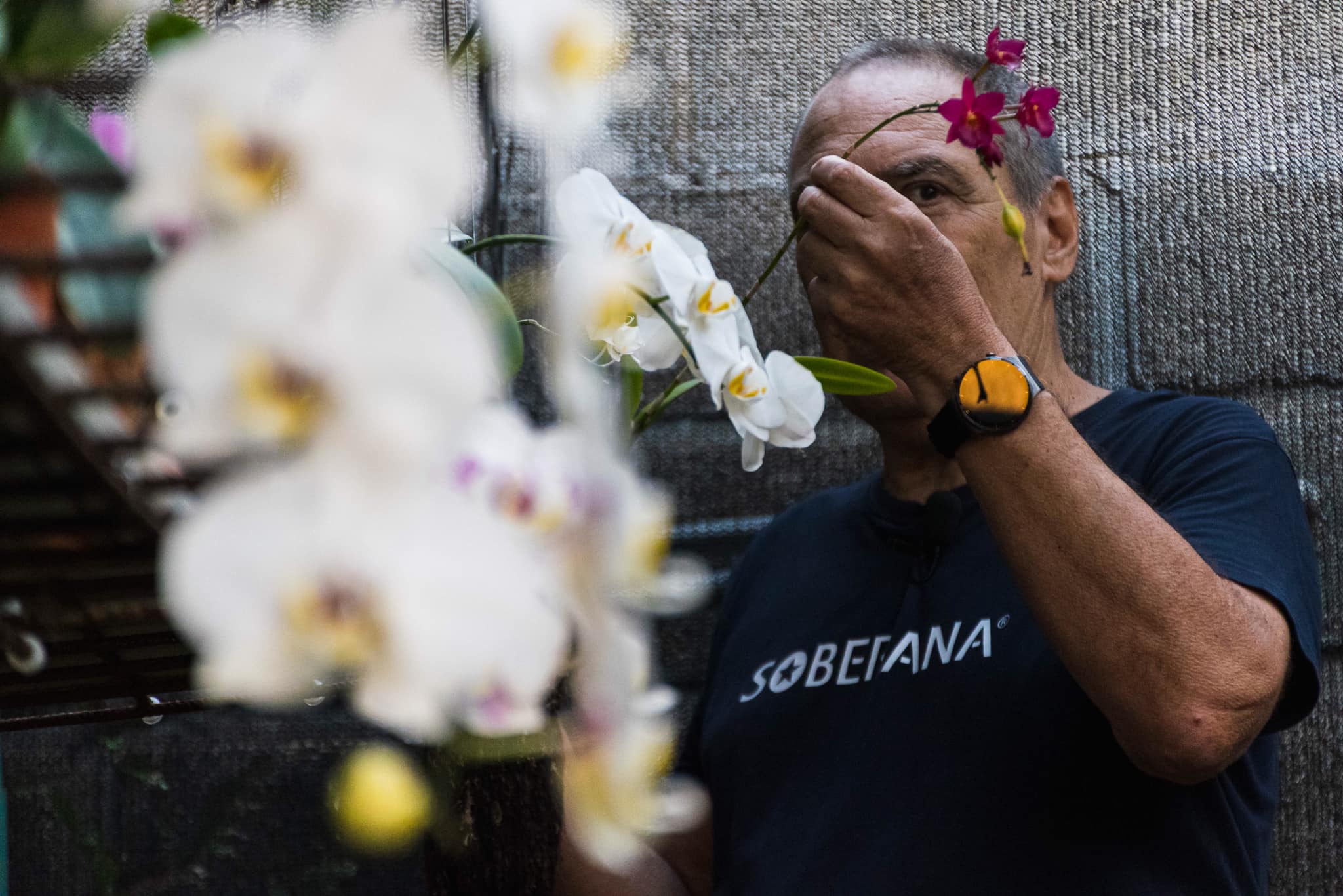 Orquídeas