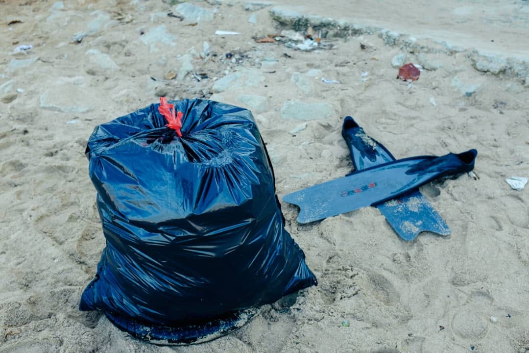 Jornada de limpieza costera (David Estrada Rodríguez/Naturaleza Secreta de Cuba)