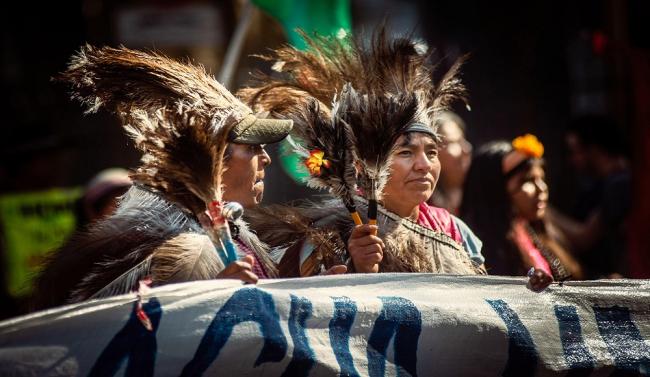  COP16: Avance indígena y Marco Global de Diversidad Biológica 