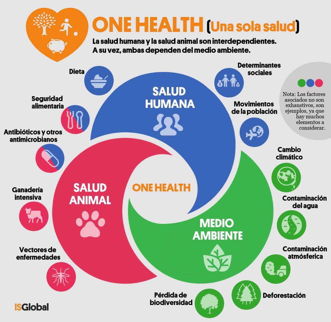One Health (Una sola salud)