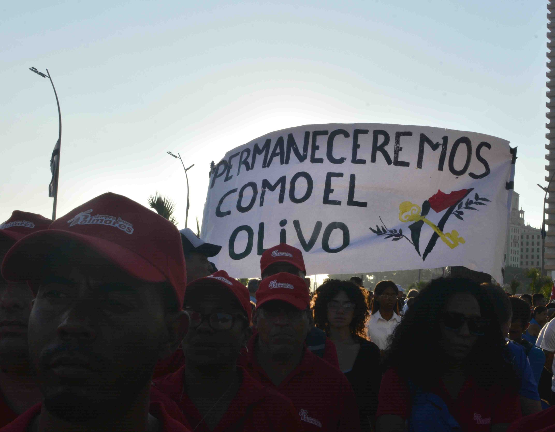 Cuba marcha una vez más por Palestina