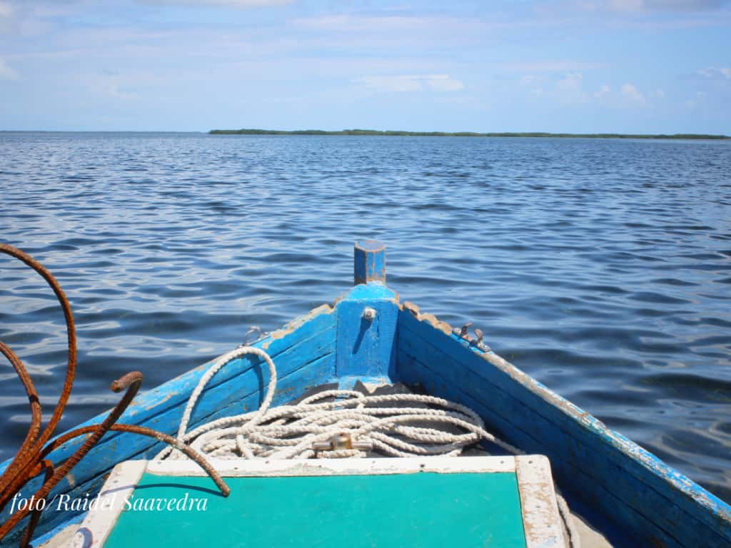 Hijo del mar Hijo del mar