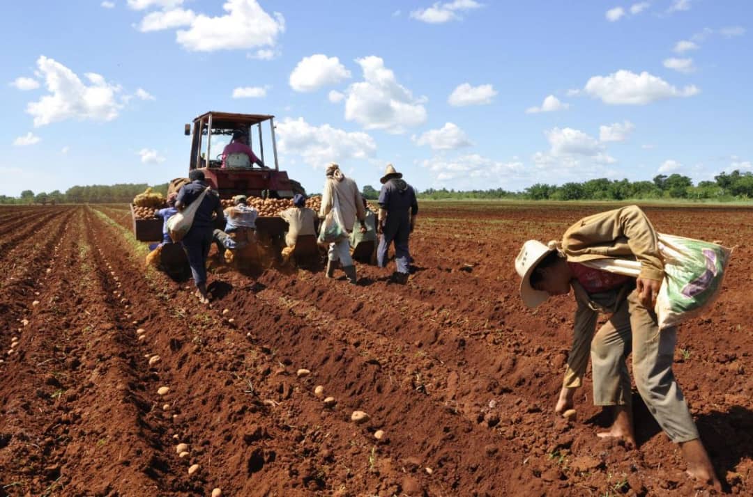 Un ambicioso plan inversionista acorde con las urgencias del país Un ambicioso plan inversionista acorde con las urgencias del país