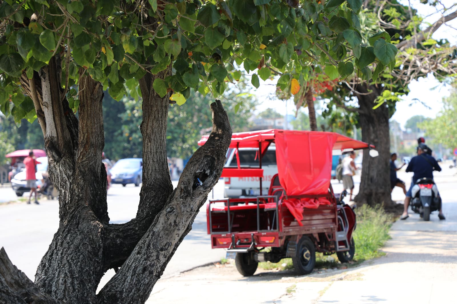 Los triciclos eléctricos 