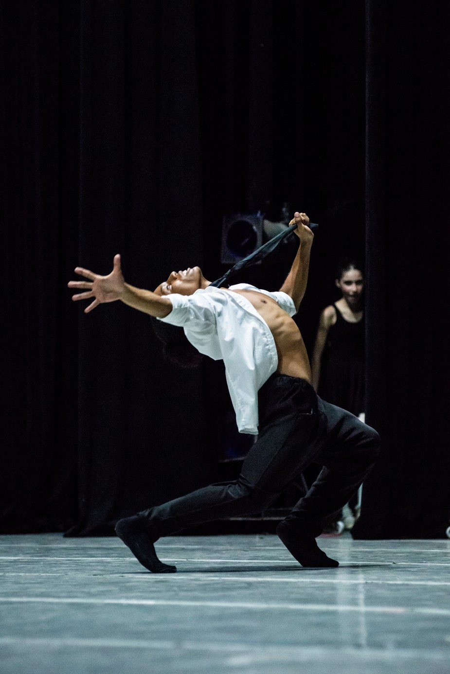 Cuando el ballet se defiende desde la pasión.